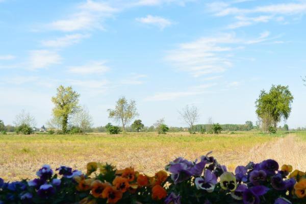 Penzion Carrobbio Bed&Breakfast Cremona Exteriér fotografie